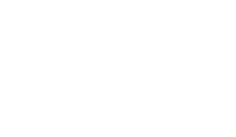 Freedomship Institute white vertical logo